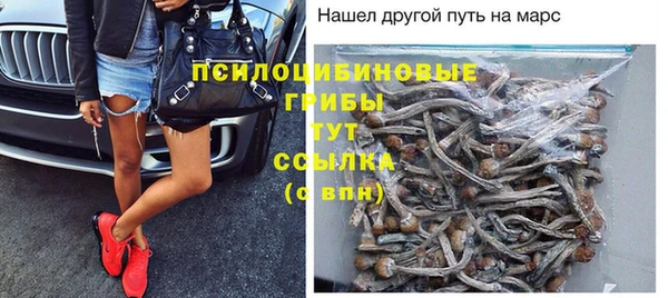 экстази Алзамай