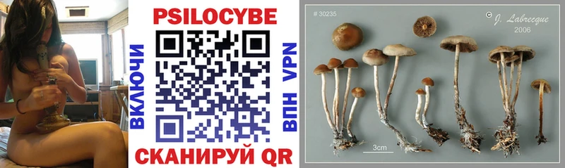 Купить где  Егорьевск  Псилоцибиновые грибы прущие грибы 
