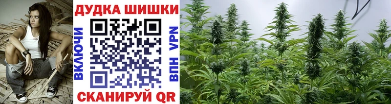 Купить где Егорьевск Марихуана VHQ